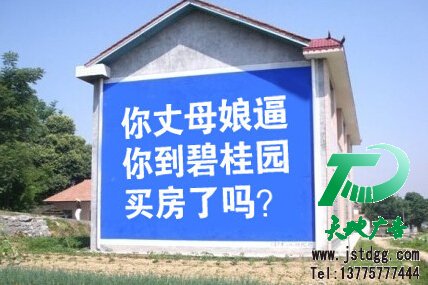 墙体广告,碧桂园,天地广告制作
